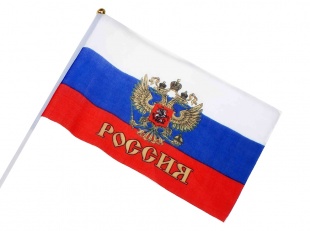 Флаг Россия триколор 40см. фото 5041