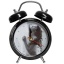 Прикол будильник Orgazmo Clock арт.05235  t('фото') 3411